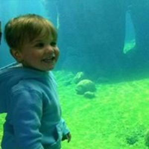 labdragonfly2 avatar