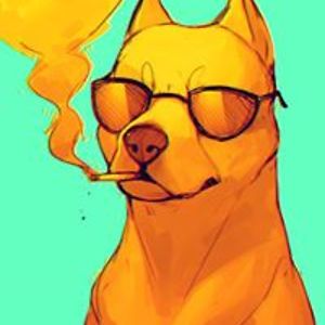 kelsey_squirrell avatar