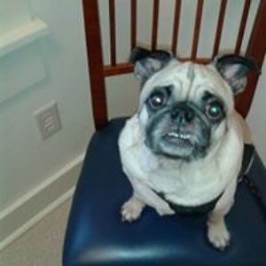 debbie_scurlock avatar