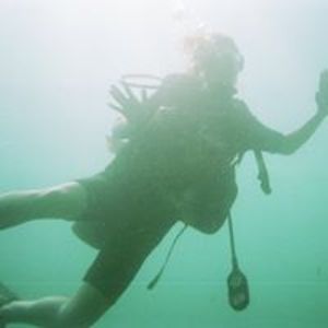 freshfighter9 avatar