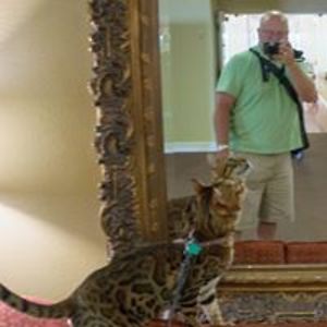 michaelwwinslow avatar