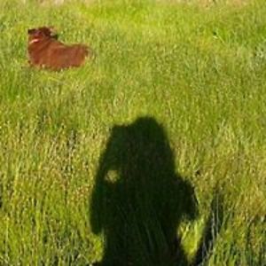 holinde_sandy avatar