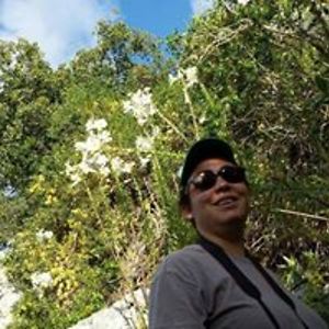 dandan_cachicas avatar