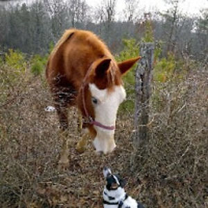 bernadettejames avatar