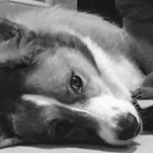 juliet_davies avatar