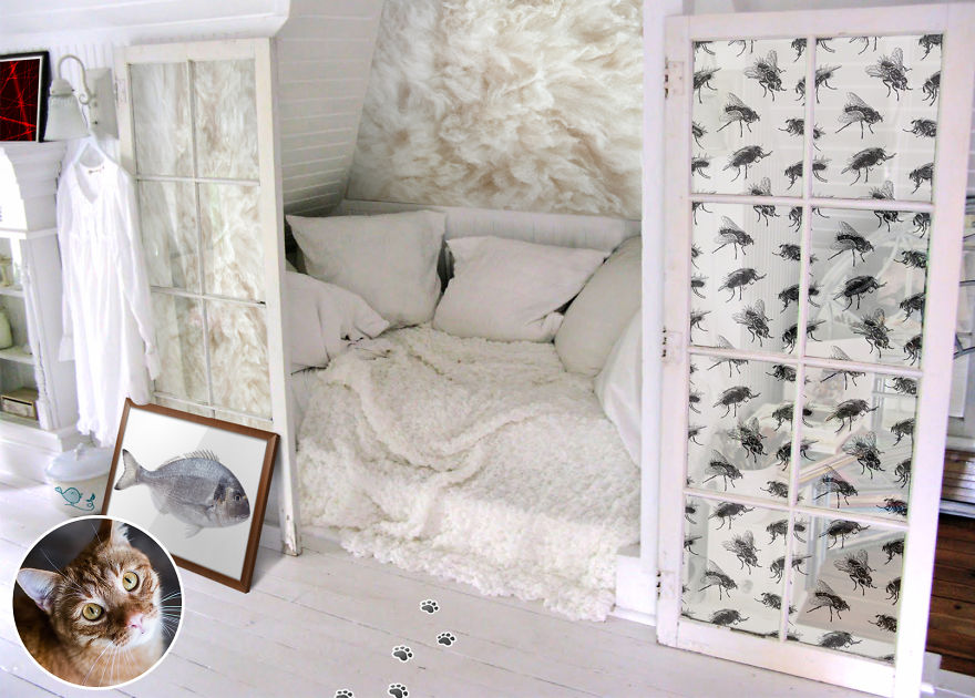 We Reveal The Secret Life Of Our Pets