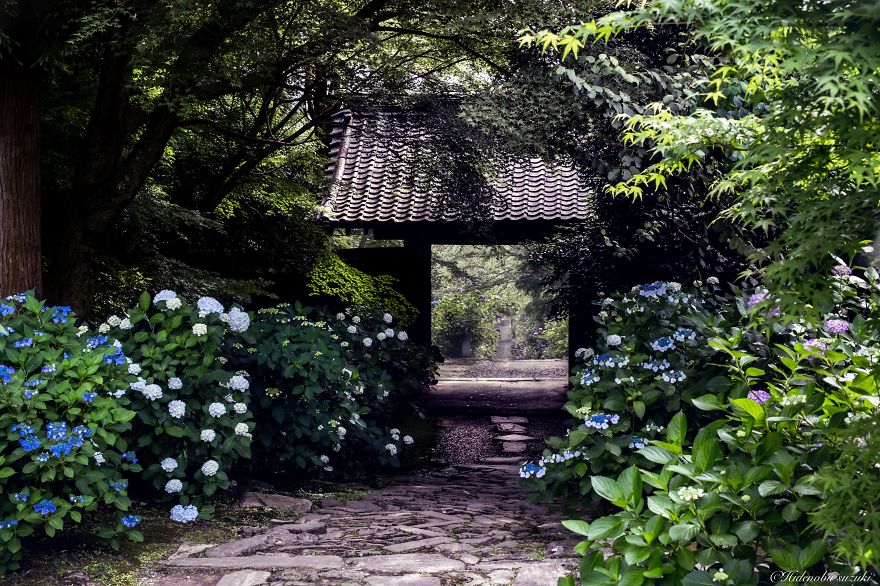 I Photographed Japan During The Rainy Season And Some Pics Look Like Paintings I Photographed Japan During The Rainy Season And Some Pics Look Like Paintings
