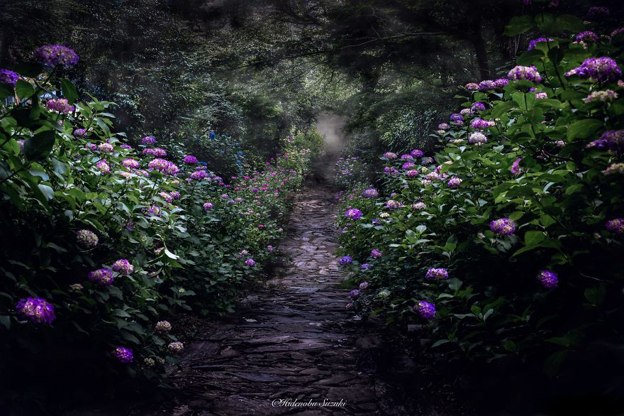 I Photographed Japan During The Rainy Season And Some Pics Look Like Paintings I Photographed Japan During The Rainy Season And Some Pics Look Like Paintings