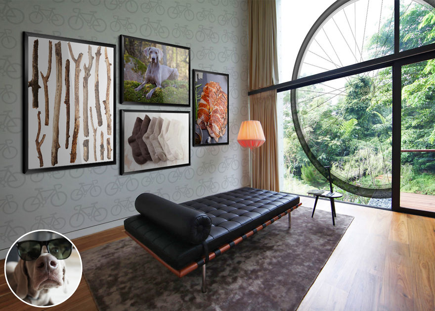 We Reveal The Secret Life Of Our Pets