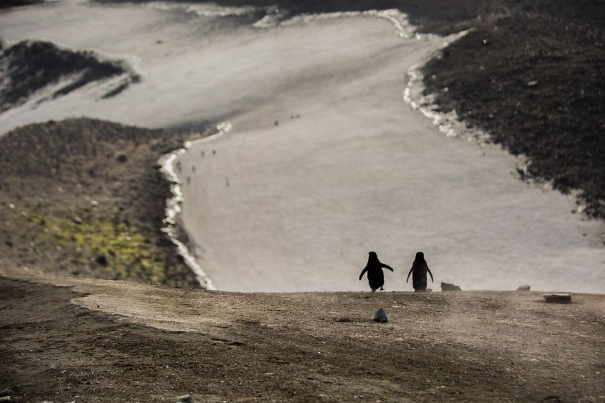 I Sailed Across The 'World's Most Dangerous Sea' To Capture Stunning Images Of Antarctica