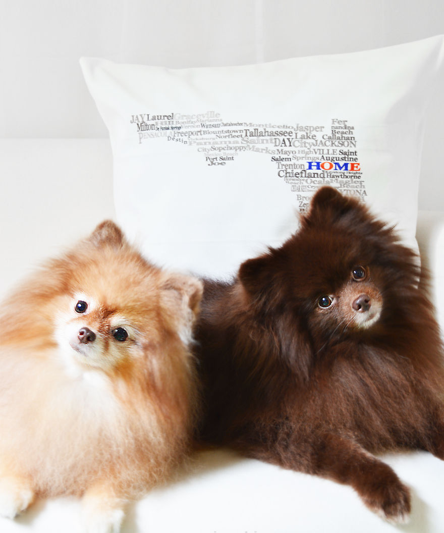 Meet Coala And Cawaii, The Two Pomeranian Fluff Balls That Changed My Life Meet Coala And Cawaii, The Two Pomeranian Fluff Balls That Changed My Life