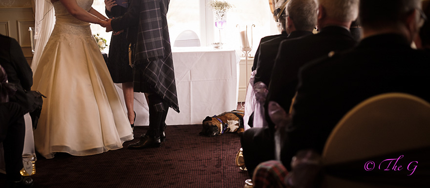 9-year-old-wedding-photographer-regina-wyllie-35 9-year-old-wedding-photographer-regina-wyllie-35