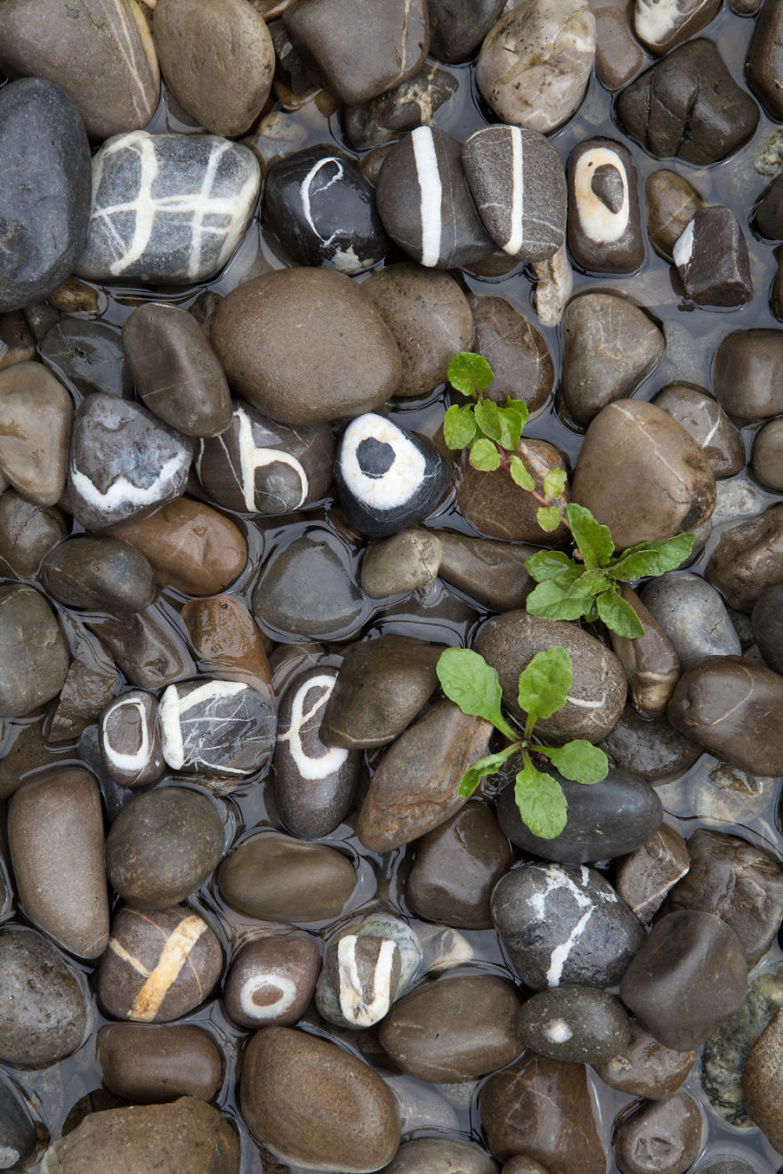 This Guy Collected A Complete Stone Alphabet Over 10 Years This Guy Collected A Complete Stone Alphabet Over 10 Years