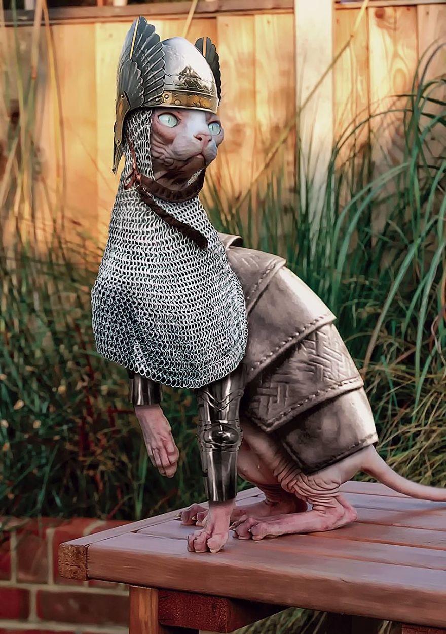 Artists Photoshop Armor On Animals To Bring Awareness To Endangered Species Artists Photoshop Armor On Animals To Bring Awareness To Endangered Species