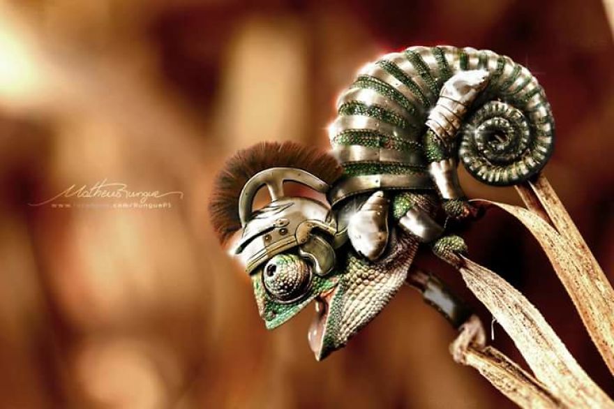 Artists Photoshop Armor On Animals To Bring Awareness To Endangered Species Artists Photoshop Armor On Animals To Bring Awareness To Endangered Species