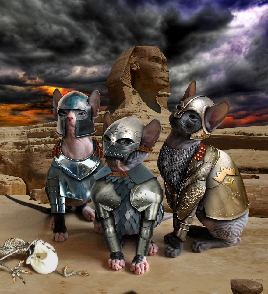 Artists Photoshop Armor On Animals To Bring Awareness To Endangered Species Artists Photoshop Armor On Animals To Bring Awareness To Endangered Species