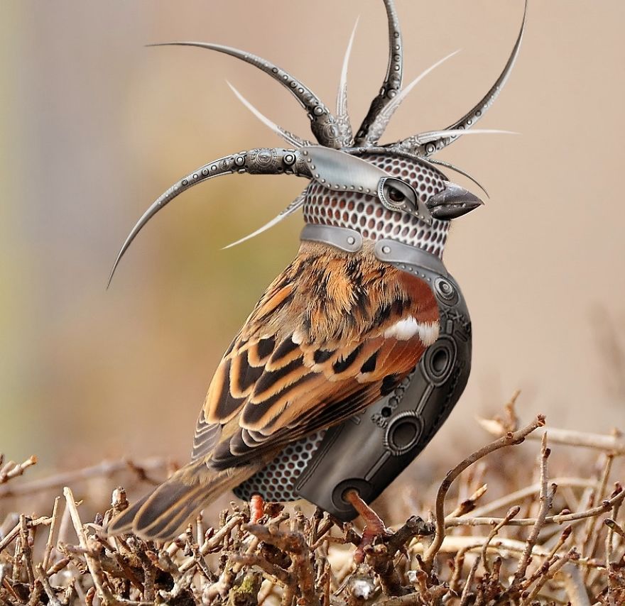 Artists Photoshop Armor On Animals To Bring Awareness To Endangered Species Artists Photoshop Armor On Animals To Bring Awareness To Endangered Species