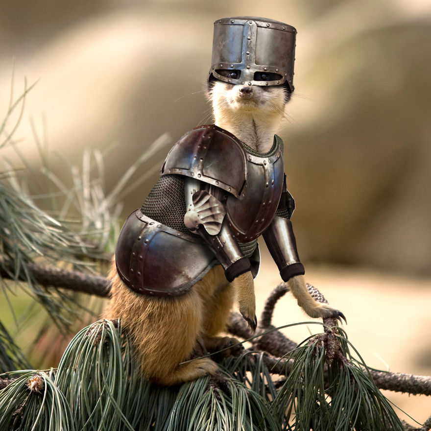 Artists Photoshop Armor On Animals To Bring Awareness To Endangered Species Artists Photoshop Armor On Animals To Bring Awareness To Endangered Species