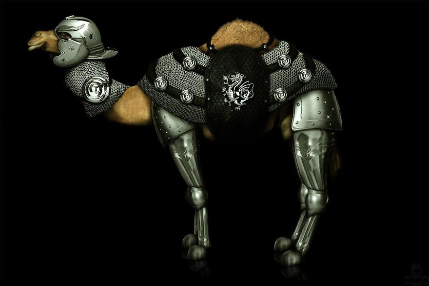 Artists Photoshop Armor On Animals To Bring Awareness To Endangered Species