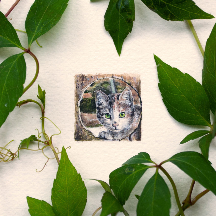 Peek. For This Painting I Wanted To Try Out The Concept Of A Square Frame