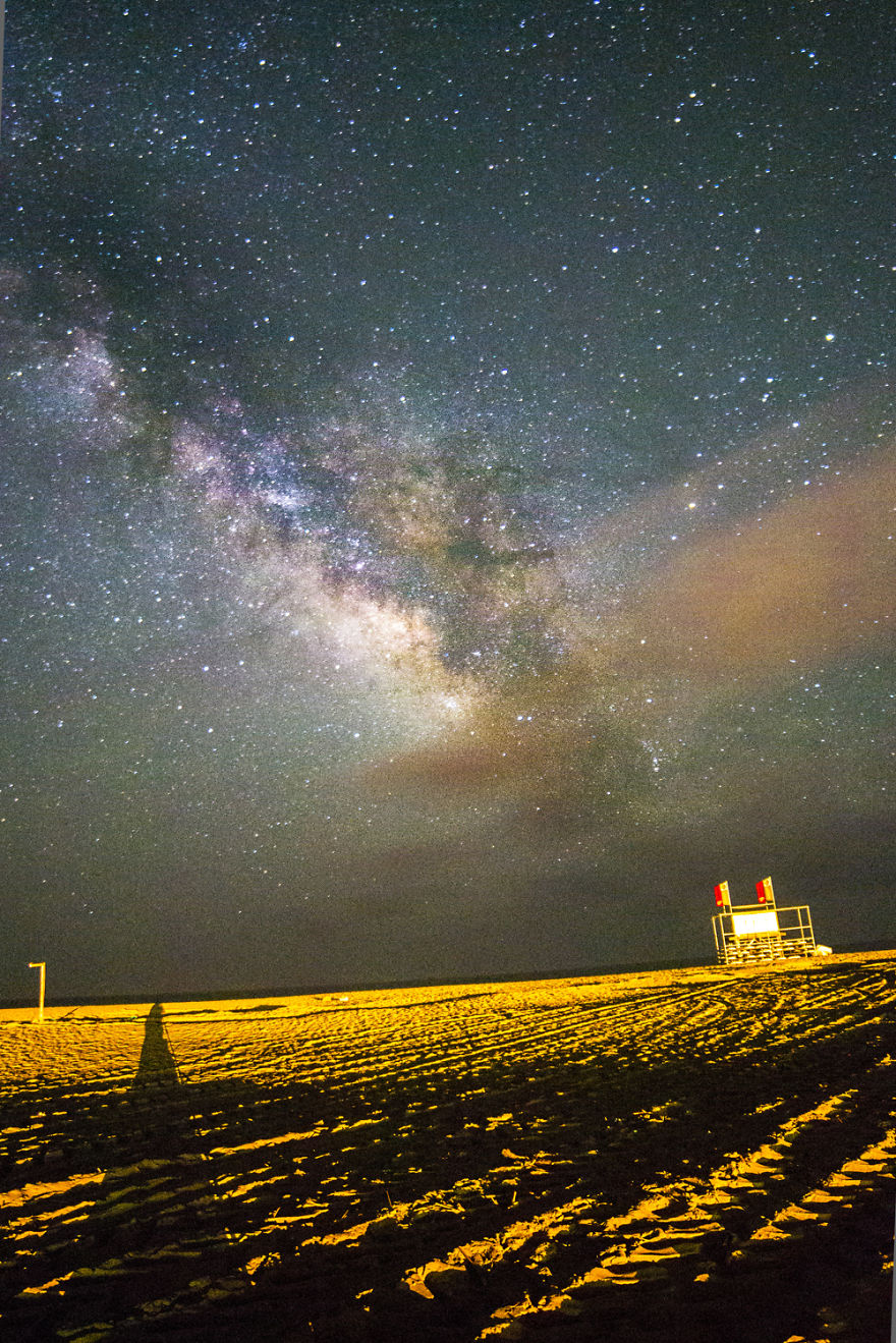 Crawler Of The Night