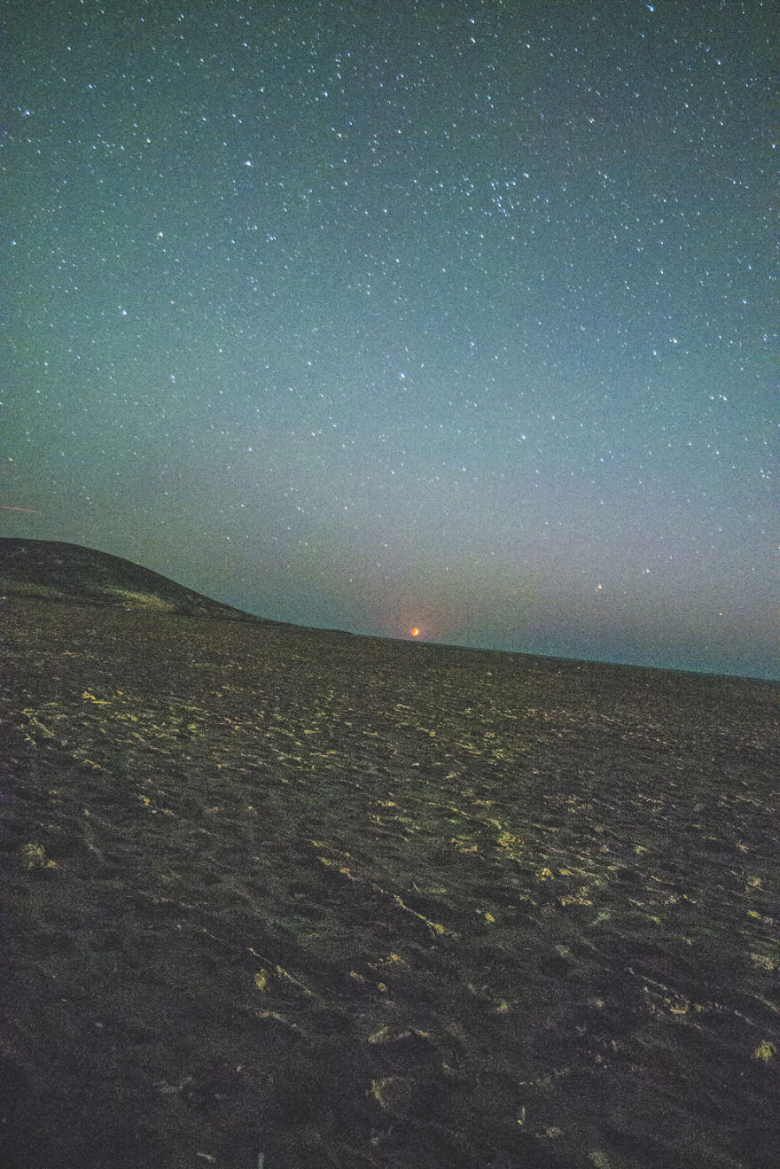 Crawler Of The Night