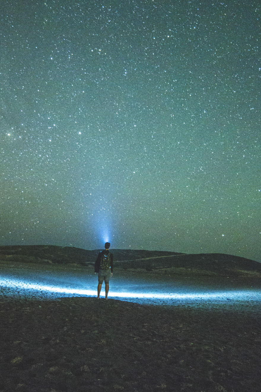 Crawler Of The Night Crawler Of The Night