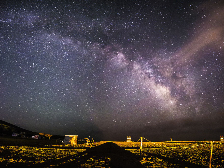 Crawler Of The Night Crawler Of The Night