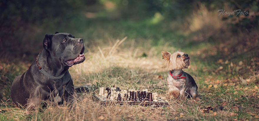 Meet The Adopted Sisters Suzi And Agora