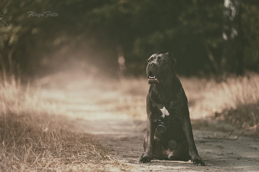 Meet The Adopted Sisters Suzi And Agora