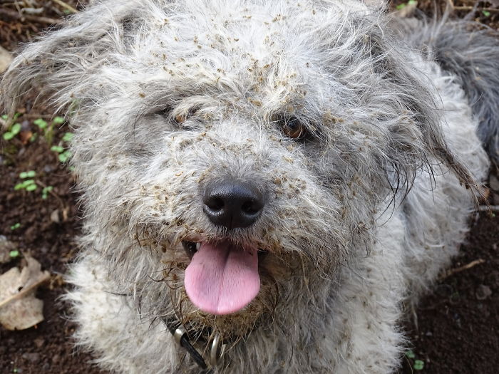 There In Five Seconds. To Take Out Three Hours