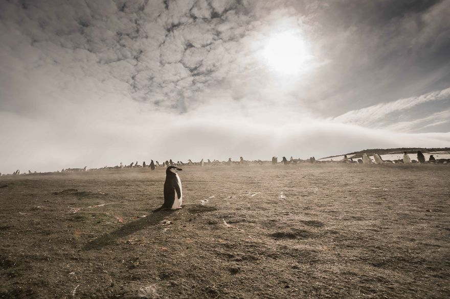 I Sailed Across The 'World's Most Dangerous Sea' To Capture Stunning Images Of Antarctica I Sailed Across The 'World's Most Dangerous Sea' To Capture Stunning Images Of Antarctica