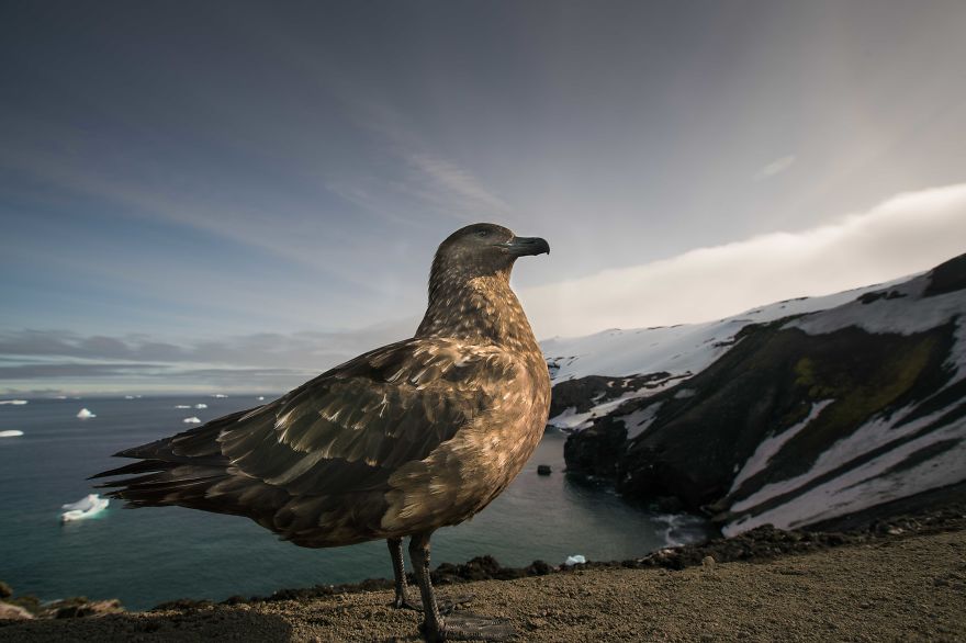 I Sailed Across The 'World's Most Dangerous Sea' To Capture Stunning Images Of Antarctica