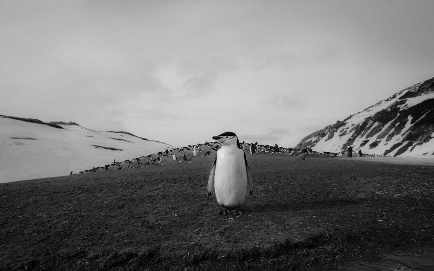 I Sailed Across The 'World's Most Dangerous Sea' To Capture Stunning Images Of Antarctica