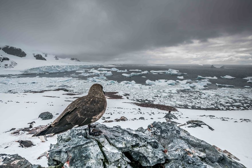 I Sailed Across The 'World's Most Dangerous Sea' To Capture Stunning Images Of Antarctica