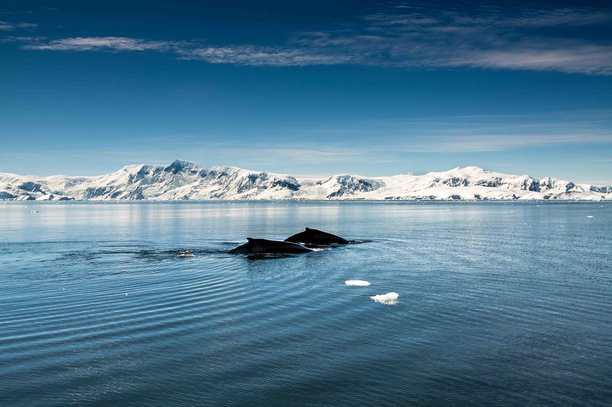 I Sailed Across The 'World's Most Dangerous Sea' To Capture Stunning Images Of Antarctica I Sailed Across The 'World's Most Dangerous Sea' To Capture Stunning Images Of Antarctica