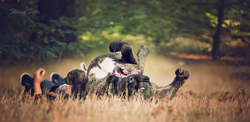 Kuba And Buba: A Story Of A Boy And His Adopted Dog