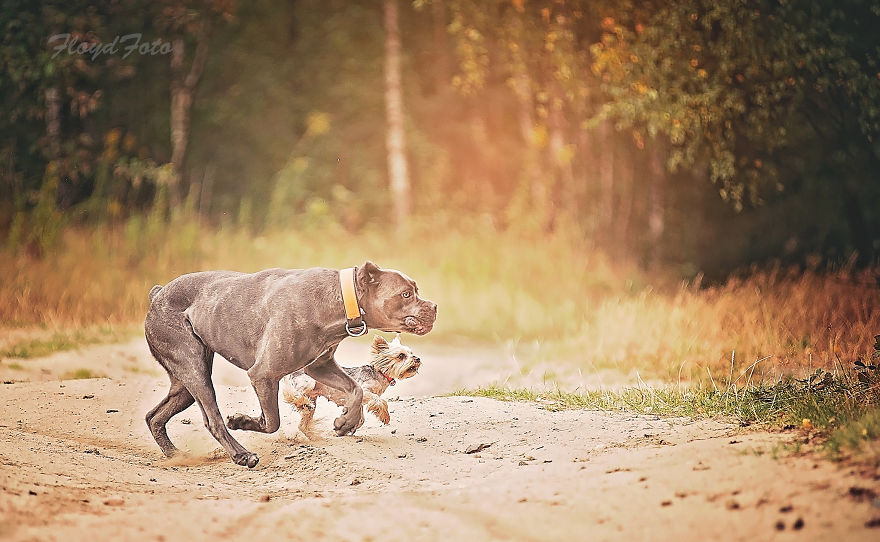 Meet The Adopted Sisters Suzi And Agora