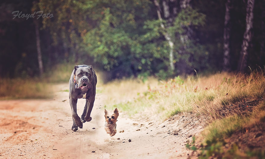 Meet The Adopted Sisters Suzi And Agora