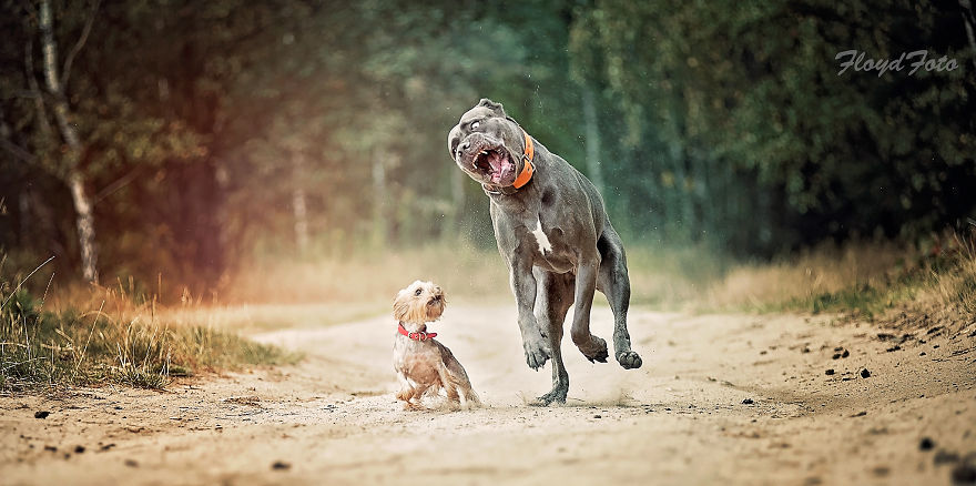 Meet The Adopted Sisters Suzi And Agora