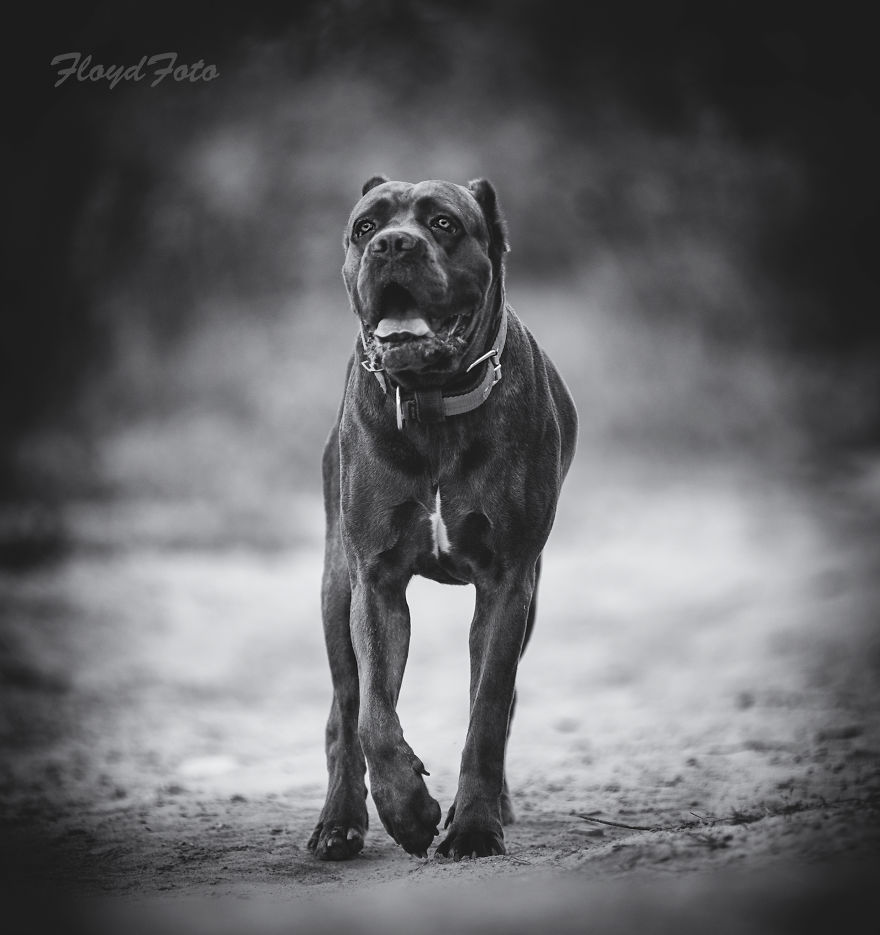 Meet The Adopted Sisters Suzi And Agora