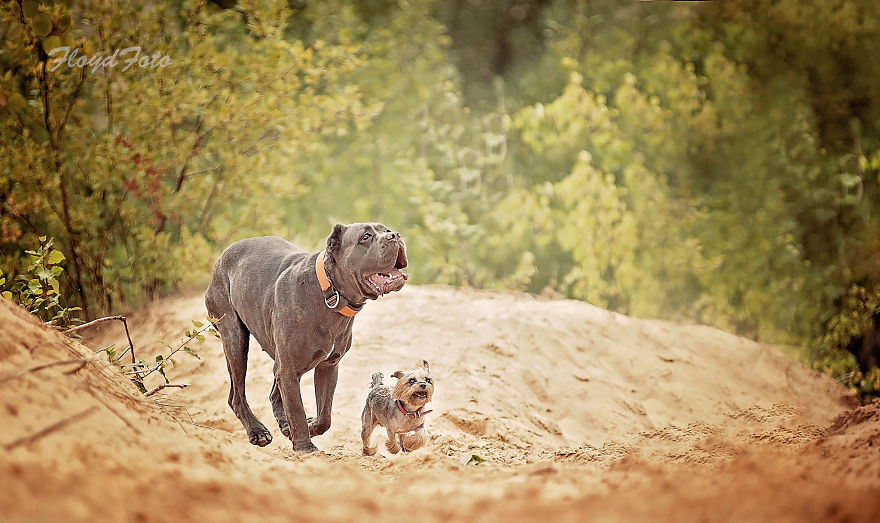 Meet The Adopted Sisters Suzi And Agora