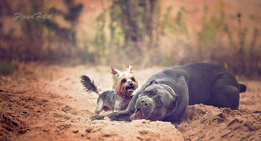 Meet The Adopted Sisters Suzi And Agora