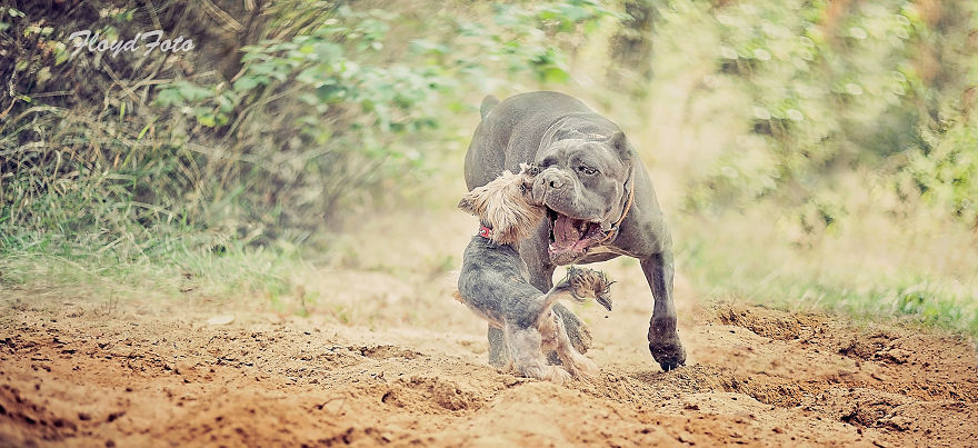 Meet The Adopted Sisters Suzi And Agora