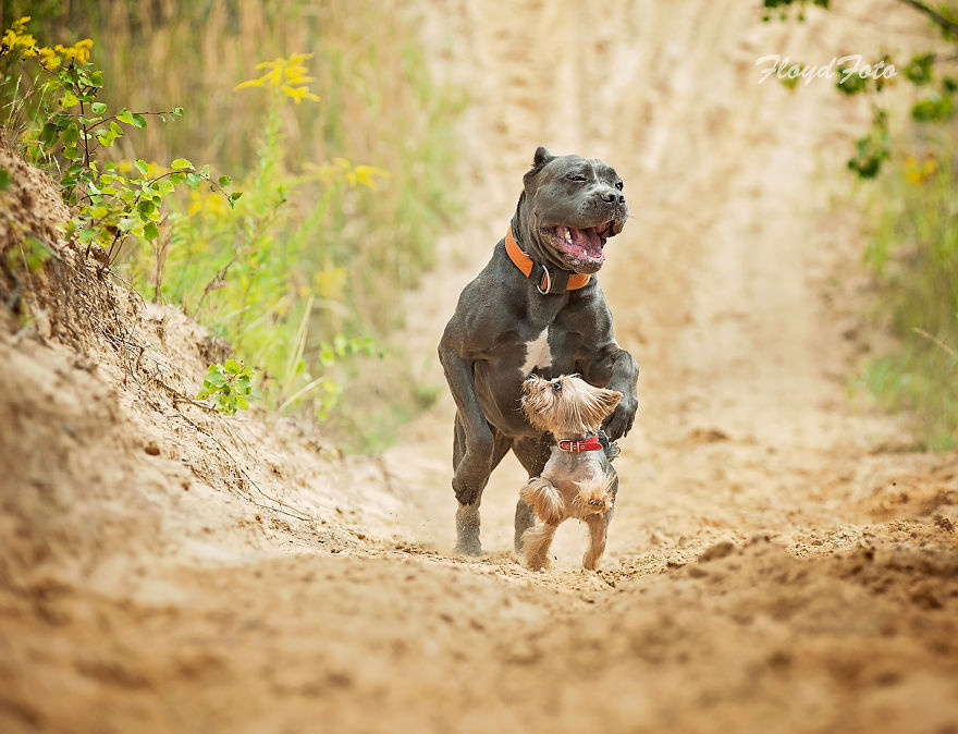 Meet The Adopted Sisters Suzi And Agora