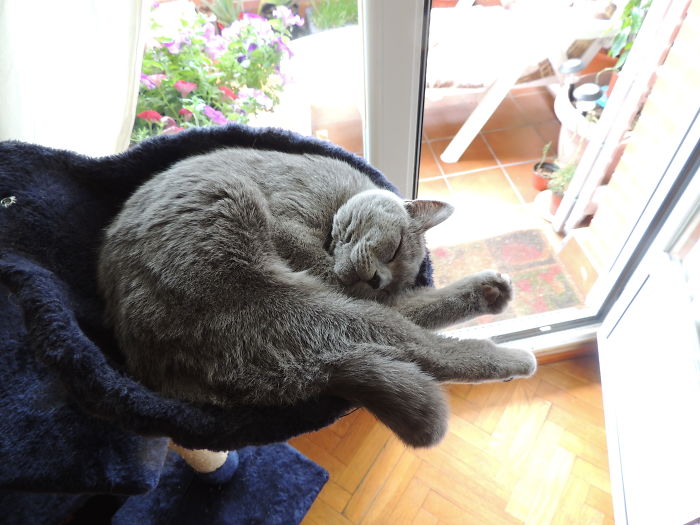 Crecer Por Encima De Tus Posibilidades...