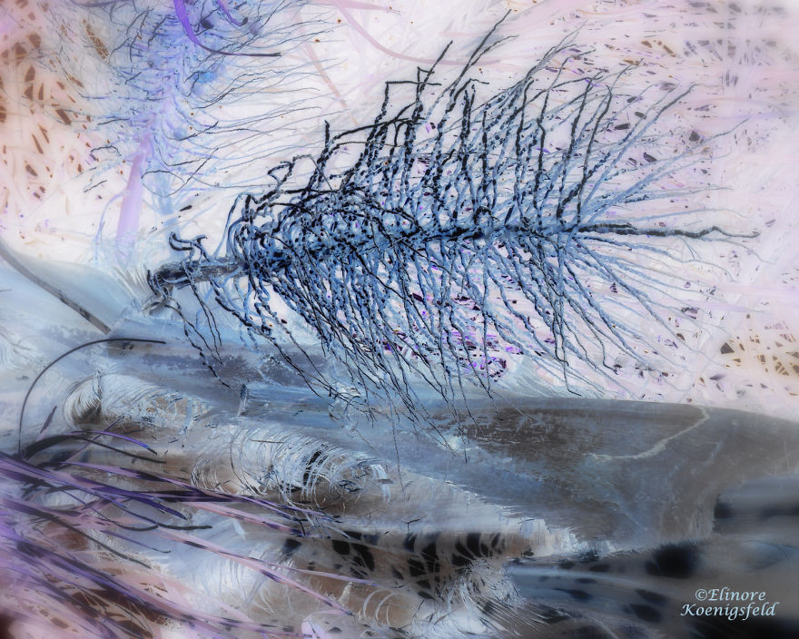 I've Inverted My Nature Photos: Weird