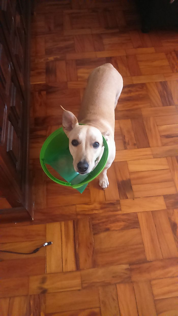 Oliver Is A Self Explanatory Guy.