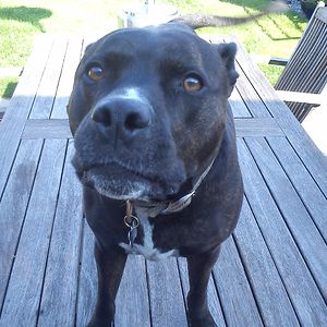 lettyatkinson avatar