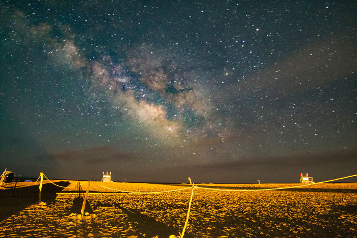 Crawler Of The Night